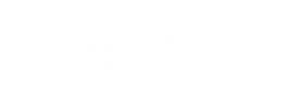 song manh logo
