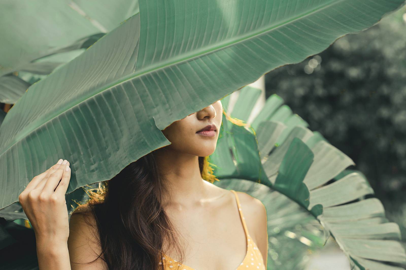 Hạnh Phúc Gia Đình Số 135